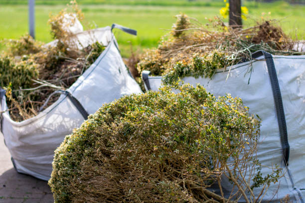 Best Yard Waste Removal  in Bicknell, IN